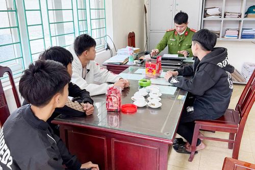 Làm rõ nhóm thanh, thiếu niên chặt biển số xe, khoe 'chiến tích' trên mạng xã hội