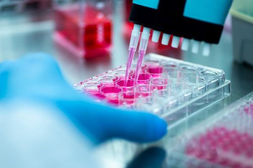 Nhiều tập đoàn gene lớn muốn tiến vào Việt Nam