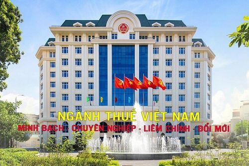 QUYẾT ĐỊNH 381/QĐ-BTC VỀ CHỨC NĂNG, NHIỆM VỤ, QUYỀN HẠN, CƠ CẤU TỔ CHỨC CỦA CỤC THUẾ