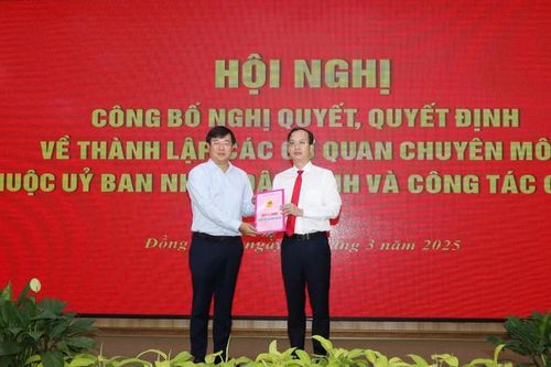 Đồng Tháp: Thành lập các cơ quan chuyên môn thuộc UBND và bổ nhiệm Giám đốc các Sở