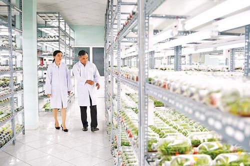 Thúc đẩy chuyển đổi số trong nông nghiệp