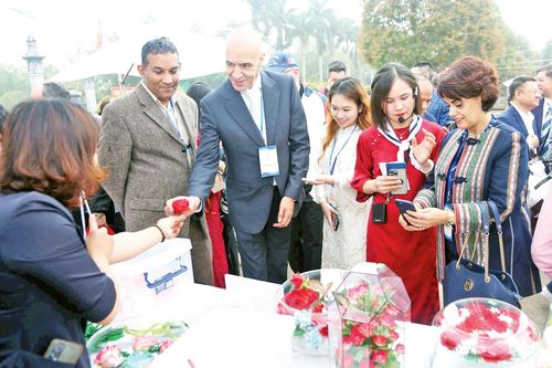 Nối thêm những nhịp cầu văn hóa