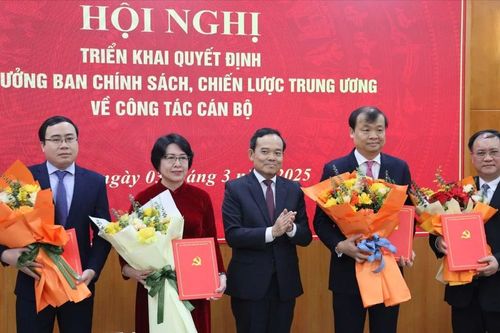 Triển khai quyết định về Viện Nghiên cứu Chính sách và chiến lược