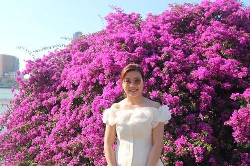 Hoa giấy bung nở rực rỡ dọc sông Hàn