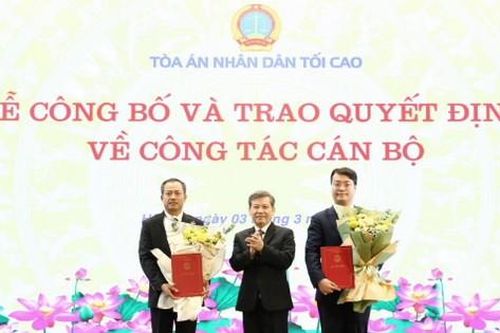 Bổ nhiệm Chánh Văn phòng Tòa án nhân dân Tối cao
