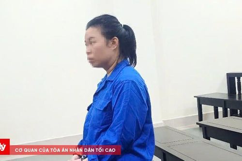 Lừa đảo chiếm đoạt hơn 2,6 tỷ đồng, nữ luật sư lĩnh 14 năm tù