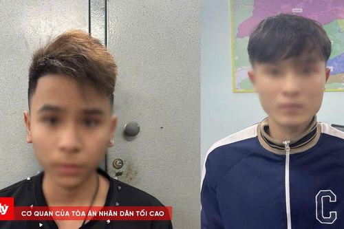 Nhanh chóng bắt hai đối tượng cướp giật tài sản
