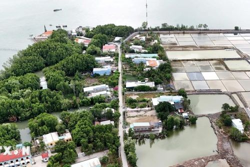 Trải nghiệm ấp đảo độc đáo ở Thành phố Hồ Chí Minh