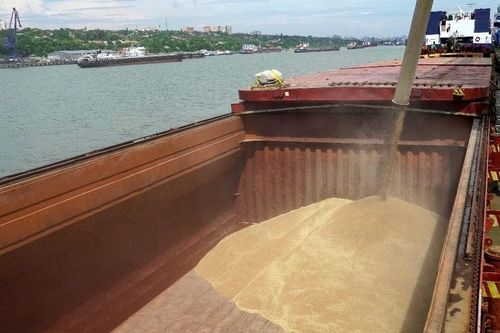 Nga chở lúa mỳ đến La Habana hỗ trợ Cuba đảm bảo an ninh lương thực