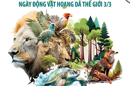 Ngày Động vật hoang dã thế giới 3/3: Những con số báo động