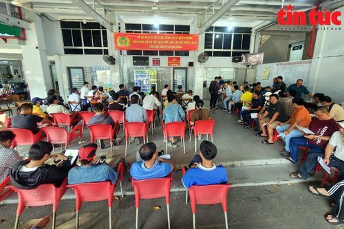 TP Hồ Chí Minh: Người dân lại xếp hàng dài chờ cấp, đổi giấy phép lái xe