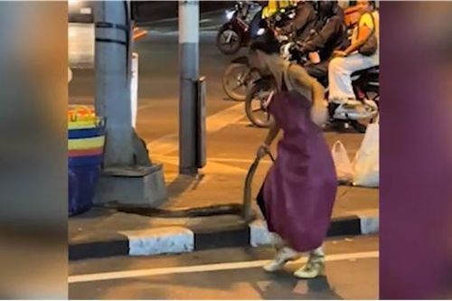 Người đàn ông trổ tài bắt rắn khổng lồ bằng tay không và cái kết bất ngờ