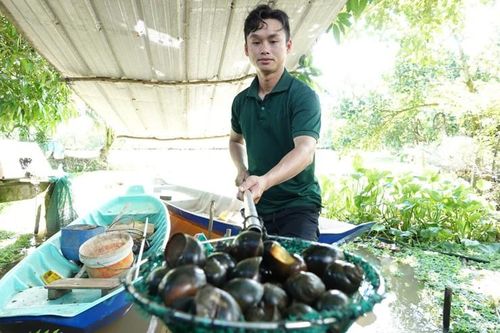 Biến những ao nước quê nhà thành 'mỏ vàng', 9x thu hơn trăm triệu/tháng