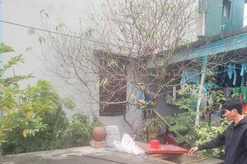 Thanh Hóa: Điều tra vụ người đàn ông bỏ thuốc trừ cỏ vào bể nước hàng xóm
