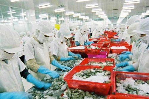 DN thủy sản lo thiệt hại hàng ngàn tỷ đồng với thủ tục tự công bố