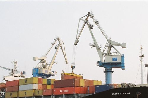 Sai sót khi nhập liệu, lợi nhuận Viconship 'bốc hơi' gần 130 tỷ đồng