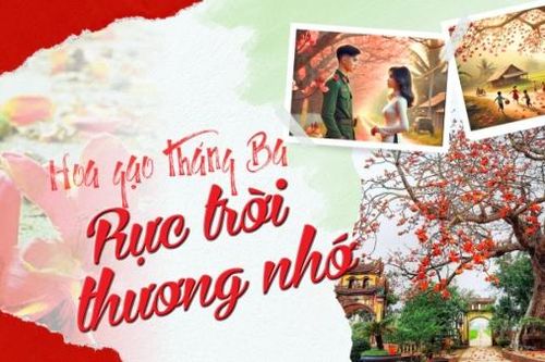 Hoa gạo tháng 3 - rực trời thương nhớ!