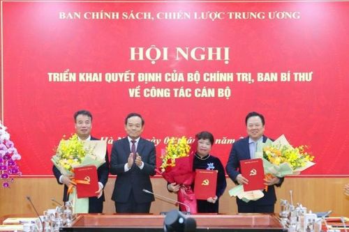 Bổ nhiệm 3 Phó trưởng Ban Chính sách, Chiến lược Trung ương