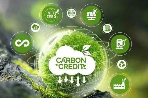 Thị trường carbon 2025: Doanh nghiệp cần làm gì?
