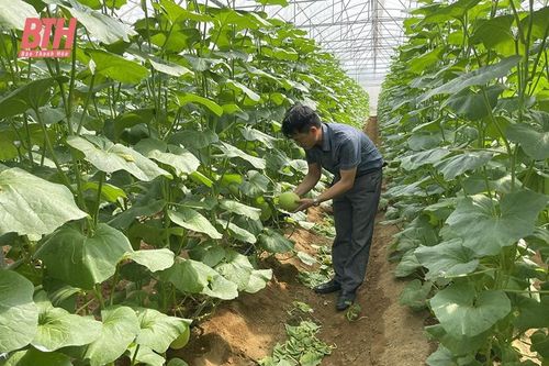 Hỗ trợ nông dân ứng dụng khoa học - kỹ thuật vào sản xuất