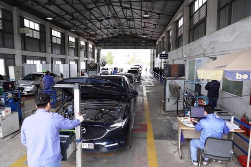 Cảnh báo lừa đảo qua cuộc gọi cập nhật đăng kiểm trên VNeID