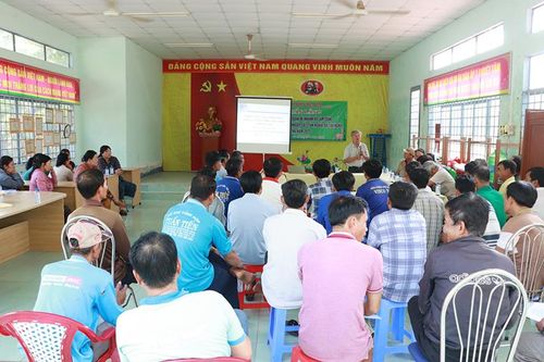 Thực hiện các mô hình 'Canh tác lúa chất lượng cao và phát thải thấp gắn với tăng trưởng xanh'