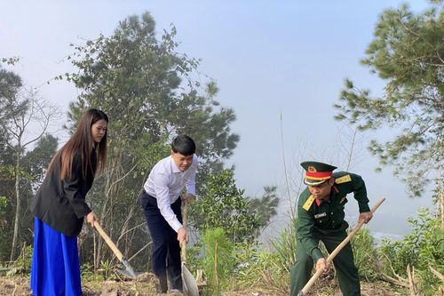 Khánh Sơn: Nỗ lực tăng tỷ lệ che phủ rừng