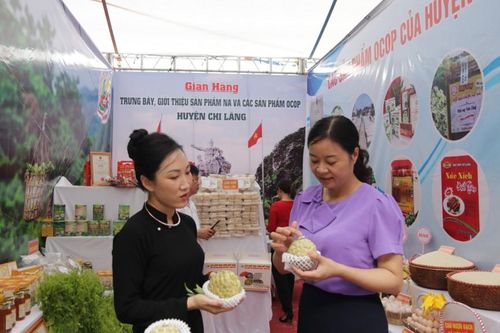 Hỗ trợ phát triển thương hiệu, mở rộng thị trường: Điểm sáng Chi Lăng