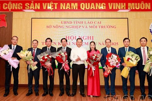 Khẩn trương triển khai các nhiệm vụ thuộc lĩnh vực nông nghiệp và môi trường