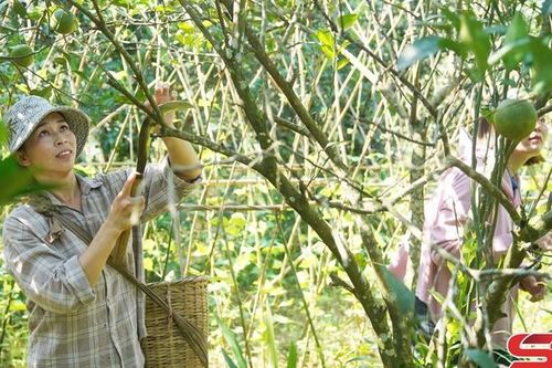 Tập trung lãnh đạo nhân dân phát triển kinh tế