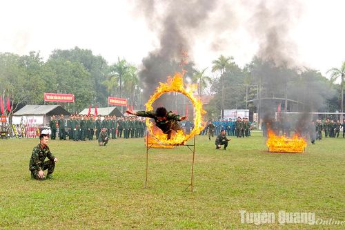 Toàn tỉnh ra quân huấn luyện năm 2025