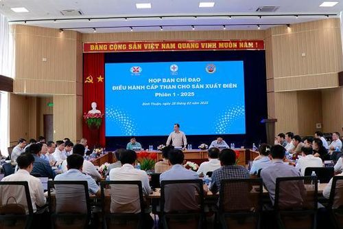 EVNGENCO3 đảm bảo định mức, đủ than để sản xuất điện năm 2025