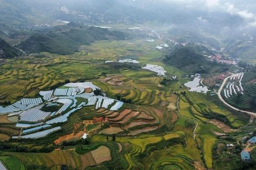 Lào Cai: Điều chỉnh các phân khu chức năng Khu Bảo tồn thiên nhiên Hoàng Liên Văn Bàn