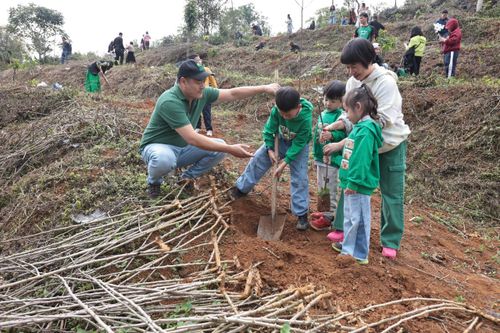 TreeBank tổ chức 'Ngày Trồng cây' năm 2025