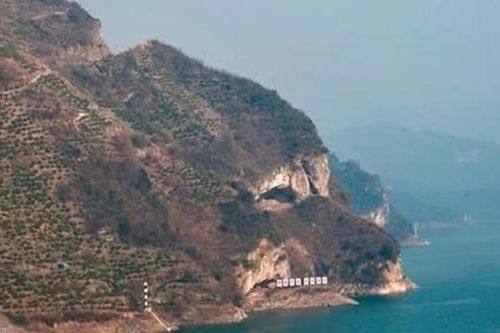 Vách núi giống hệt mặt chó con