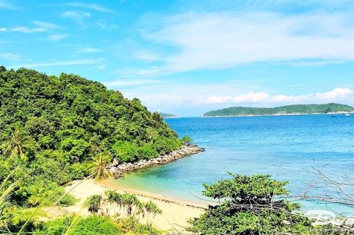 Quảng Nam: Thành lập Khu bảo tồn thiên nhiên Cù Lao Chàm
