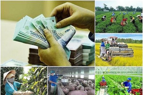 Khẩn trương hoàn thành phân bổ vốn các chương trình mục tiêu quốc gia trước 31/3/2025