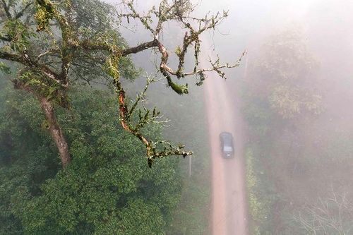 Thí sinh Top 10 Hoa hậu Việt Nam 2022 tham gia phim mới của đạo diễn Lương Đình Dũng
