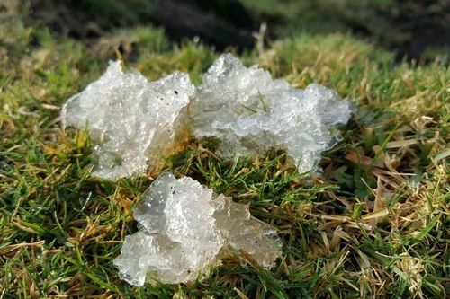 Chất nhầy bí ẩn từ trên trời rơi xuống, đánh đố chuyên gia