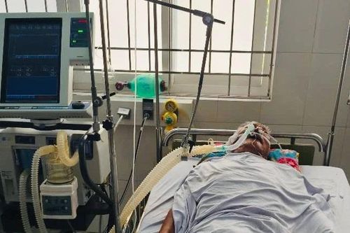 Ăn cá nóc, 4 người ở Cà Mau nhập viện