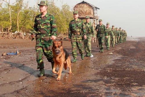 Cảm xúc biên phòng