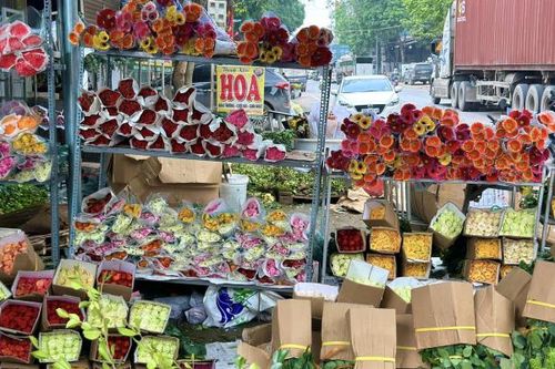 Người dân huyện Mê Linh tất bật thu hoạch hoa tươi trước dịp lễ 8/3