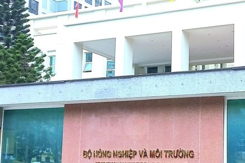Bộ Nông nghiệp và Môi trường đi vào hoạt động: Cơ hội tái cơ cấu ngành và phát triển kinh tế xanh