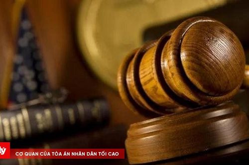 Chấn động phiên tòa xử cựu bác sĩ xâm hại 299 trẻ em, có cả cháu ruột