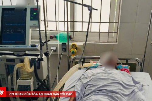 3 ngày 4 người nhập viện do ăn cá nóc