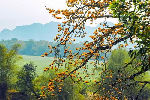 Thời tiết Nghệ An ngày 4/3: Trưa và chiều trời nắng