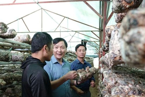 Bộ Nông nghiệp và Môi trường chính thức tiếp nhận quản lý Nhà nước về giảm nghèo