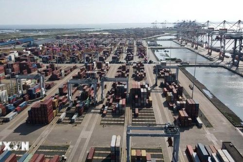 Cơ hội mới của doanh nghiệp logistics Việt Nam trong chuỗi cung ứng toàn cầu