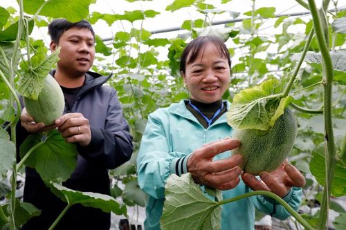 Tận dụng lợi thế, thu hút nhiều nhà đầu tư lớn vào nông nghiệp công nghệ cao