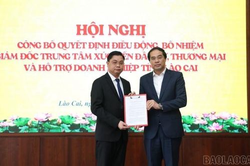 Tin nhân sự 3/3: Công tác cán bộ tại ba tỉnh Lào Cai, Lạng Sơn, Hà Nam